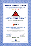 Ausbildungszertifikat DGHV