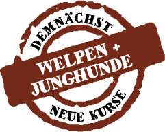 hundekurse