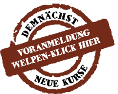 welpenkurs